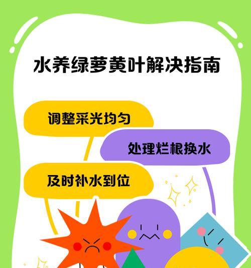三叶草水培技术及管理要点是什么？
