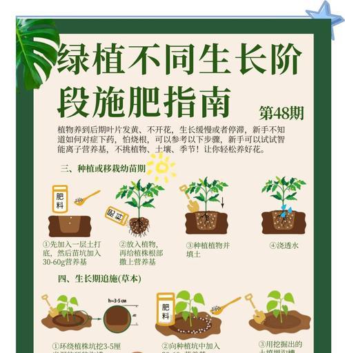 养花用什么肥最有效？不同花卉的施肥指南是什么？
