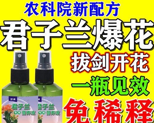 君子兰开花后箭如何处理？有哪些方法？