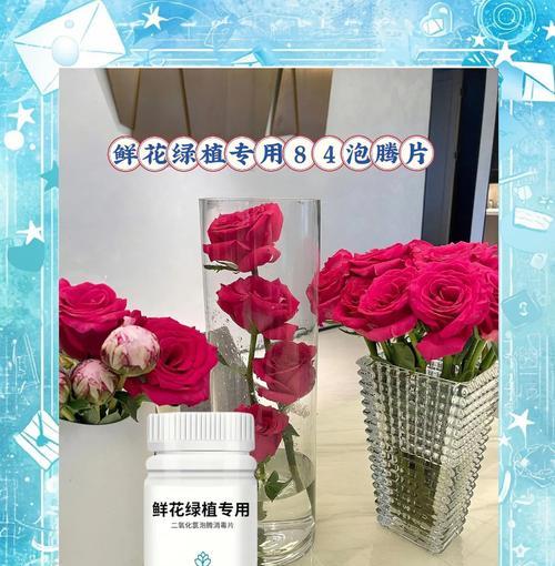 茉莉切花的养护和延长花期的方法是什么？