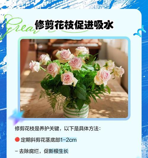 茉莉切花的养护和延长花期的方法是什么？