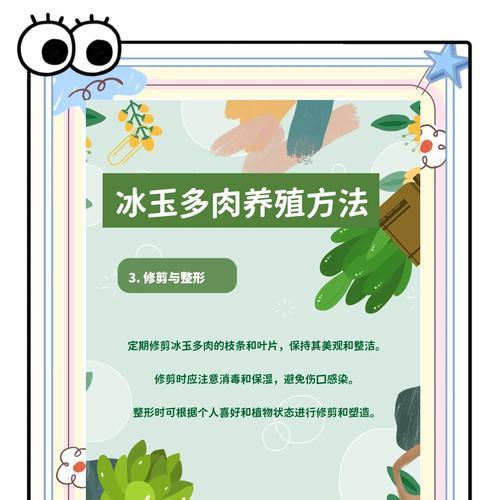 冰灯玉露种植的正确方法是什么？