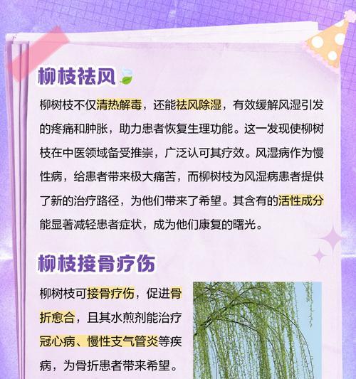 柳树花有什么用？柳树花在传统医学中的应用是什么？