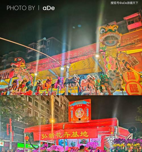 广州花市有哪些花品种？如何在花市挑选花卉？