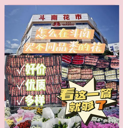 广州花市有哪些花品种？如何在花市挑选花卉？
