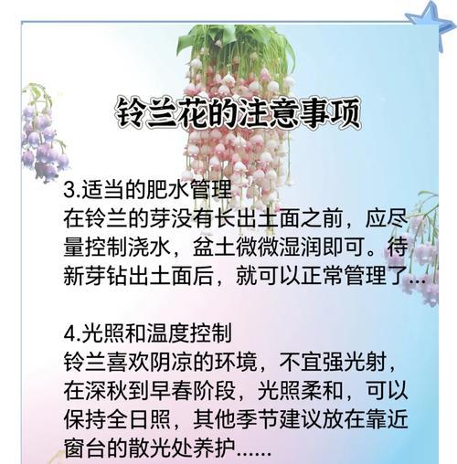 铃兰花的最佳种植时间是什么时候？