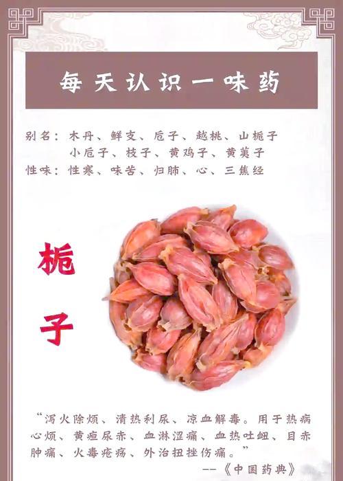 桅子花烂根的处理方法是什么？