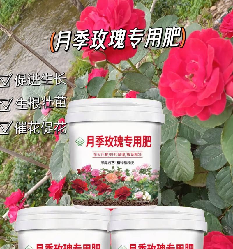 家庭花卉施肥指南：什么肥料最适合？