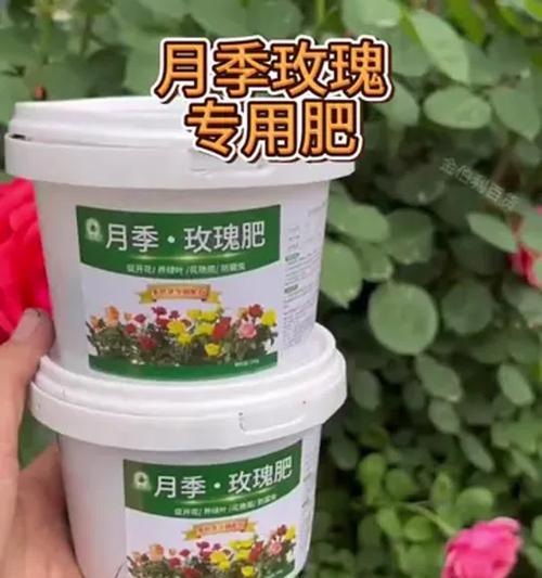 家庭花卉施肥指南：什么肥料最适合？