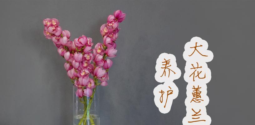 切花花卉有哪些？如何挑选和养护切花？