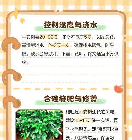 平安树施肥的正确方式是什么？