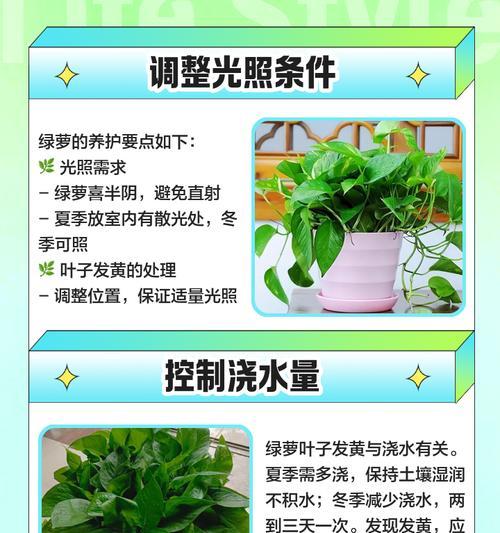 怎么使绿萝叶子变大？有哪些有效的方法？
