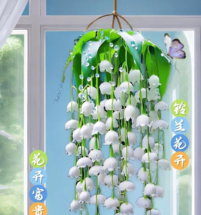 四季都能开花的花卉有哪些？四季常开花卉的养护要点是什么？