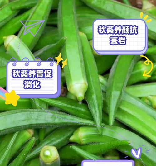 秋葵剪枝的方法是什么？如何保证秋葵的生长？