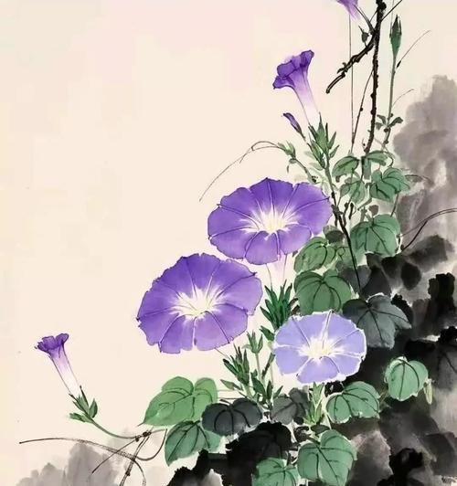 牵牛花的养护方法是什么？如何让牵牛花开得更美？
