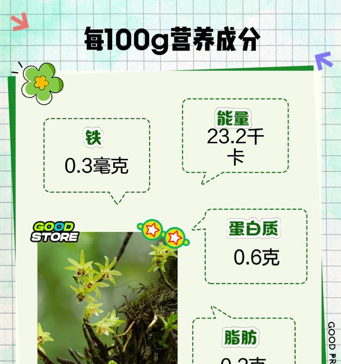 石斛花种植有哪些注意事项？