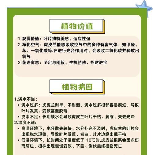 虎皮兰发黄的解决方法是什么？