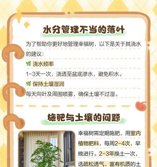 幸福树叶子干枯的原因及解决方法是什么？