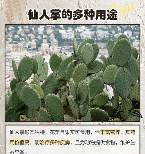 球形仙人掌的养殖方法和注意事项？