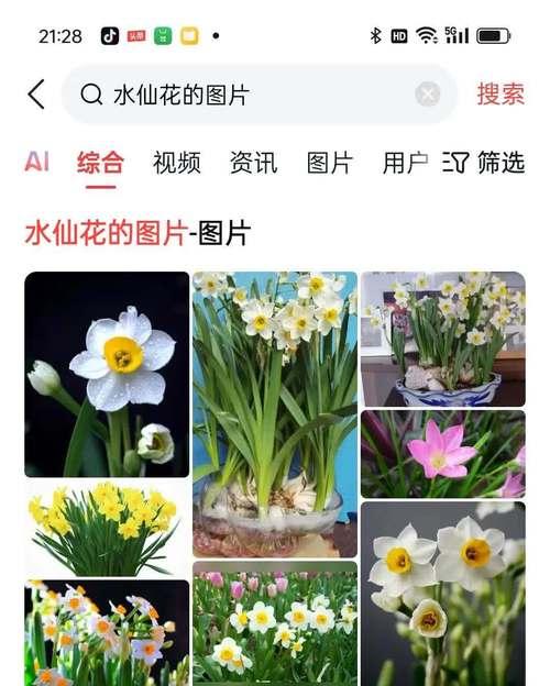 水仙花有多少品种？水仙花品种的识别方法是什么？