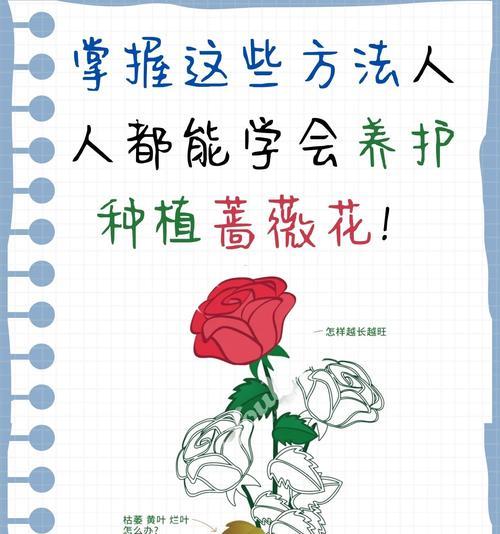 盆栽蔷薇修剪的最佳时机是什么？
