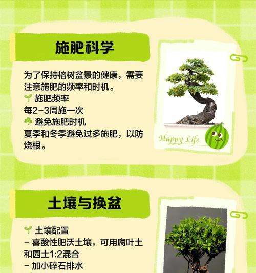 榕树修剪的最佳时机是什么时候？如何进行榕树修剪？