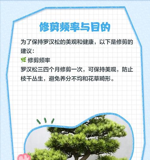 白皮松修剪技巧有哪些？如何修剪才能促进生长？