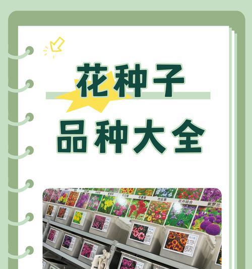 花卉种球的定义是什么？种球花卉的养护要点有哪些？