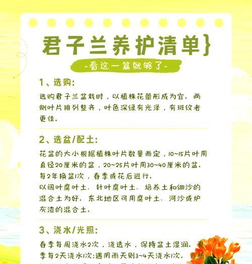 君子兰夏季养护技巧？怎样安全度过高温季节？