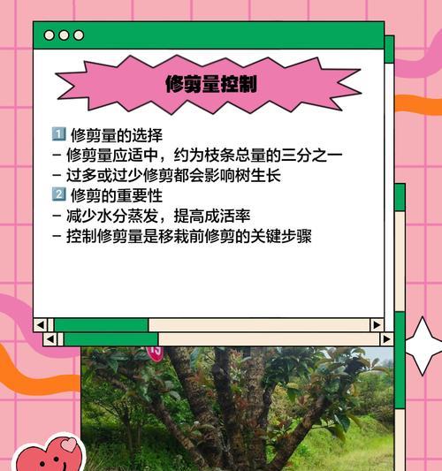 桂花树盆栽修剪技巧有哪些？
