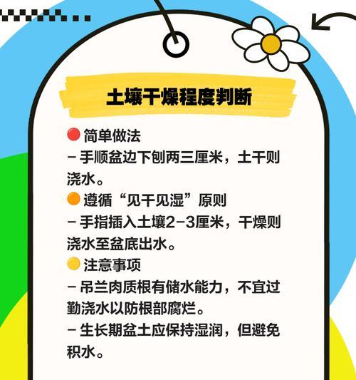 浇水浇透具体是什么意思？如何正确进行浇水浇透？