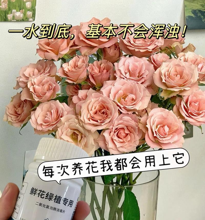 如何延长玫瑰插花的花期？