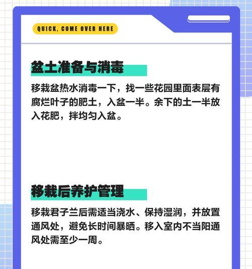 兰花移栽的最佳时期和步骤是什么？