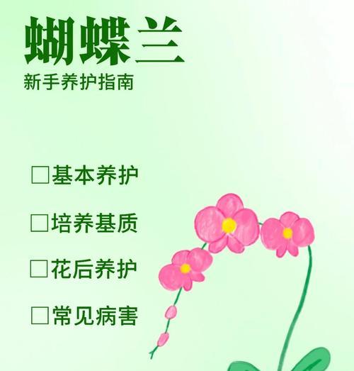 冬季蝴蝶兰的浇水技巧是什么？