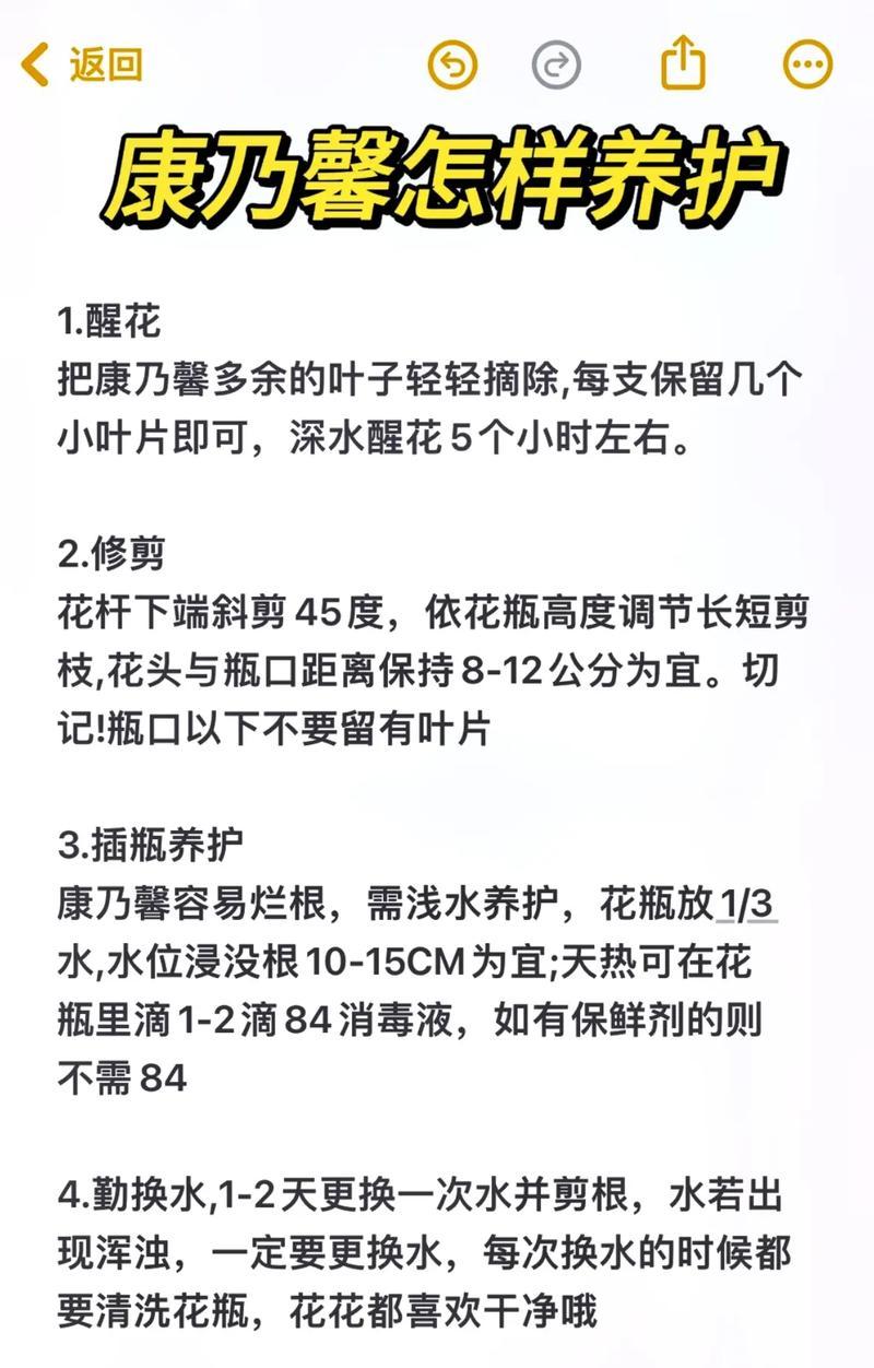 鲜花应该用什么水来养护？