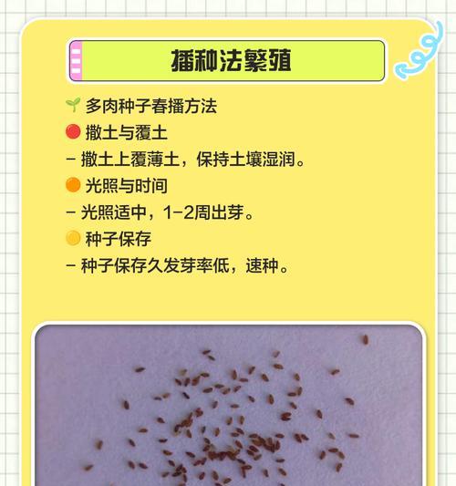 万象植物繁殖技巧是什么？