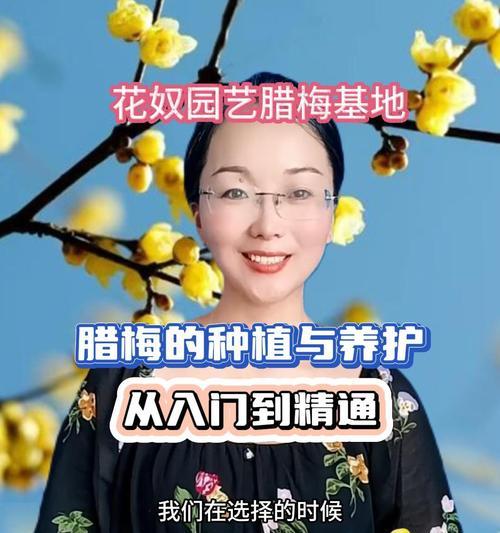 腊梅籽什么时候种最合适？种植方法有哪些？