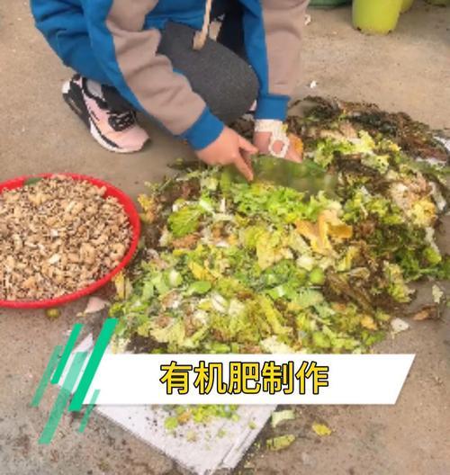什么可以做花肥？家庭自制花肥的材料和步骤是什么？