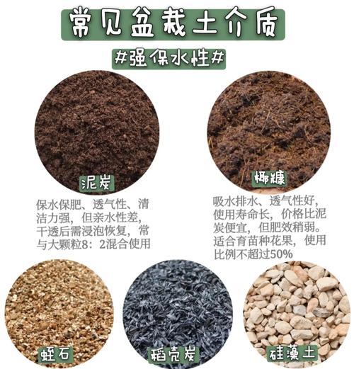 盆景营养土配制秘籍：怎样自制最佳土壤？
