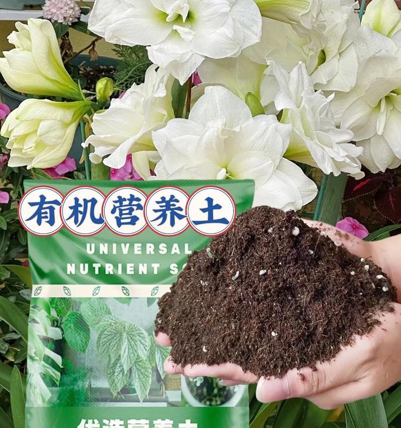 盆景营养土配制秘籍：怎样自制最佳土壤？