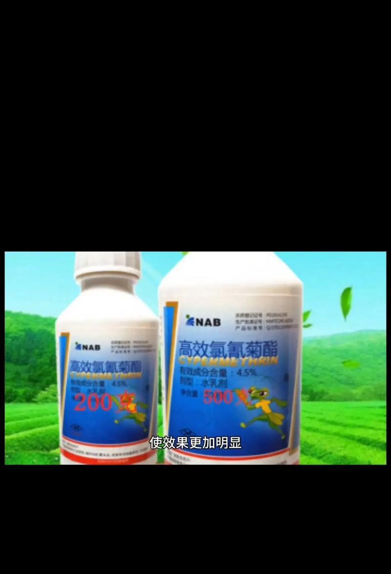 盆栽小飞虫的防治方法是什么？