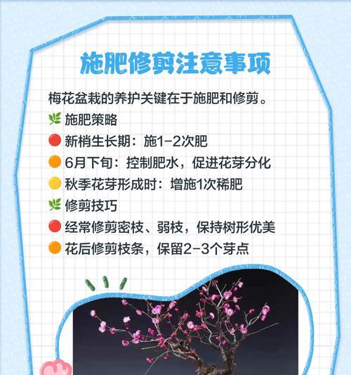 梅花修剪的最佳时机是什么时候？如何进行梅花修剪？