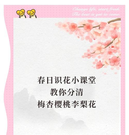 梅花叶子的形态特征和识别要点是什么？