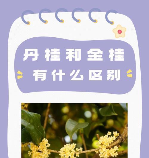 花草有哪些品种？它们的适应环境有何不同？