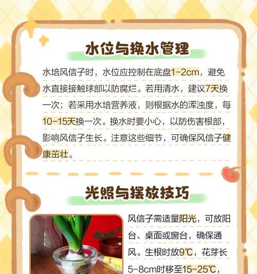 水培风信子换水的方法是什么？