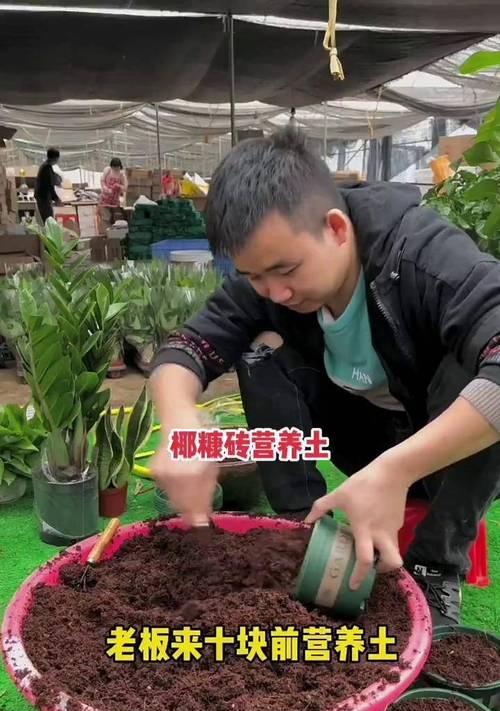 哪种土壤最适合养花？养花用土的选择和配制方法是什么？
