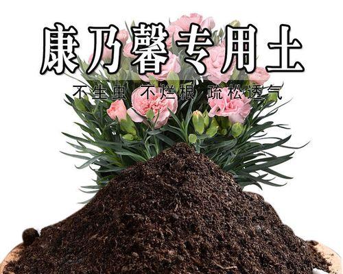 哪种土壤最适合养花？养花用土的选择和配制方法是什么？
