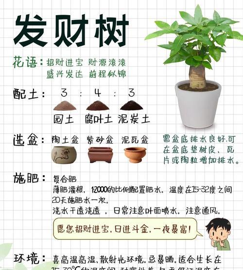 发财树叶子的修剪方法是什么？如何进行正确的修剪？