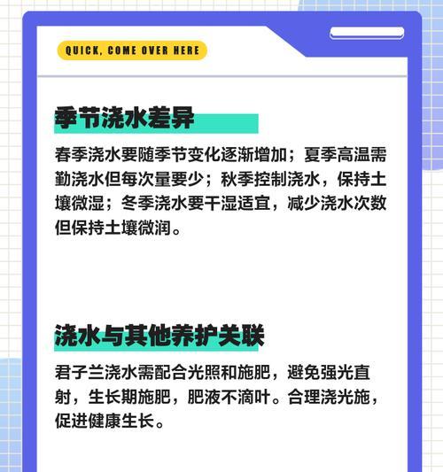 白兰花浇水技巧？如何正确浇水保持健康？