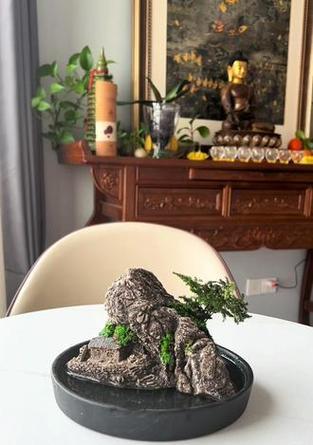 盆景青苔养护技巧有哪些？